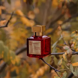 عطر ادکلن میسون فرانسیس کورکجان باکارات رژ 540 اکستریت د پرفیوم 100 میل