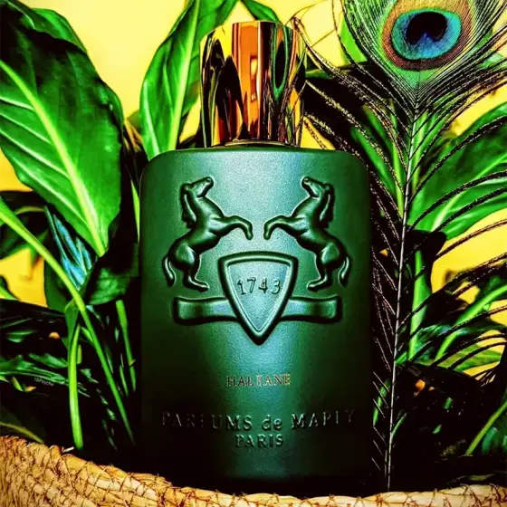 عطر ادکلن پرفیوم د مارلی هالتان 100 میل