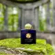 عطر ادکلن آمواج اینترلود زنانه 100 میل