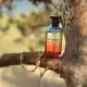 عطر ادکلن لویی ویتون آن د بیچ 100 میل