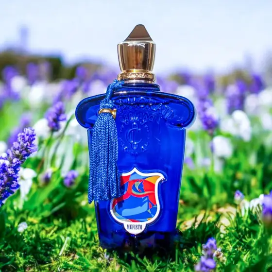 عطر ادکلن کازاموراتی 1888 مفیستو 100 میل