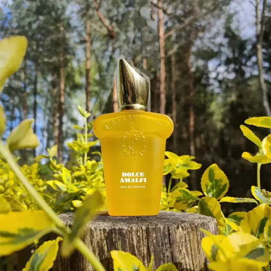 عطر ادکلن کازاموراتی 1888 دولچه آمالفی 100 میل