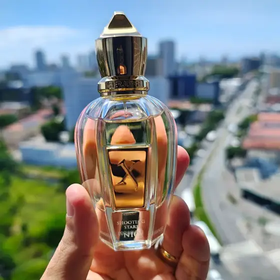 عطر ادکلن زرجف نیو 100 میل