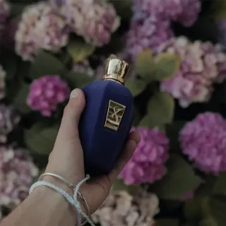 عطر ادکلن زرجف اکسنتو 100 میل