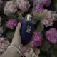 عطر ادکلن زرجف اکسنتو 100 میل