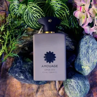 عطر ادکلن آمواج اپوس 14 رویال توباکو 100 میل