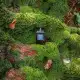 عطر ادکلن تام فورد عود وود 100 میل